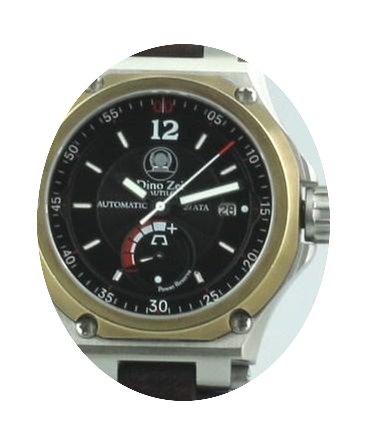 Anonimo Dino Zei Nautilo...