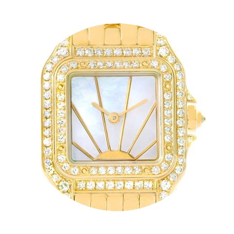 Cartier Panthere Ladies 18k Yellow Gold ...