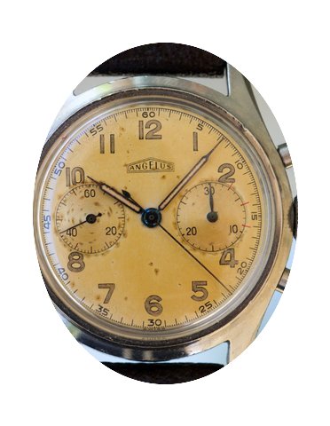 Angelus Vintage Tropical Chronograph...