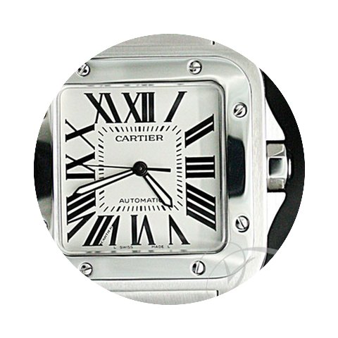Cartier Santos 100 Men Size - W200737G...