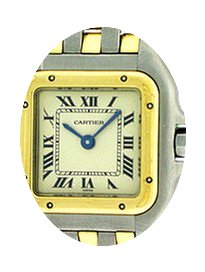 Cartier Panther...
