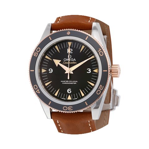 Omega 23322412101002 Seamaster Automatic...
