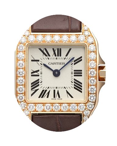 Cartier Santos Demoiselle...