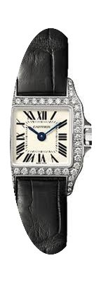 Cartier Santos Demoiselle Silver Dial La...