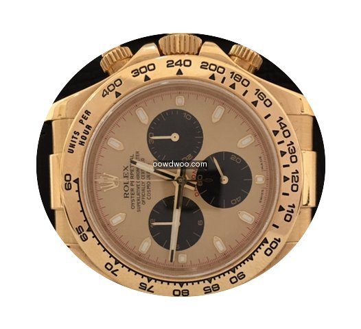 Rolex Daytona Ouro Amarelo / Couro Paul ...