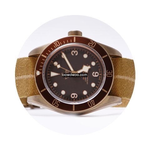 Tudor Black Bay Bronze 79250BM...