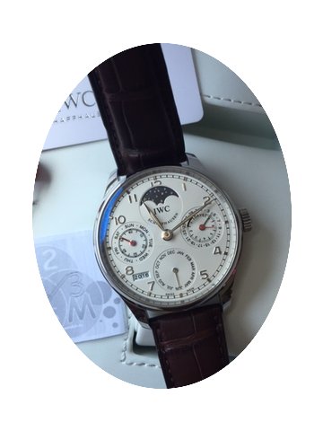 IWC Portuguese Perpetual Calenda IW50230...