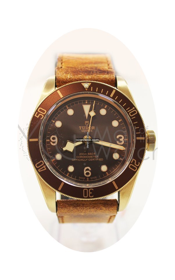 Tudor Heritage Black Bay Bronze 79250bm...