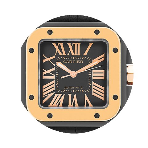 Cartier Santos 100 W2020007...