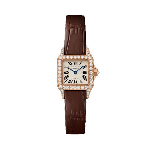 Cartier Santos Demoiselle Silver Grained...