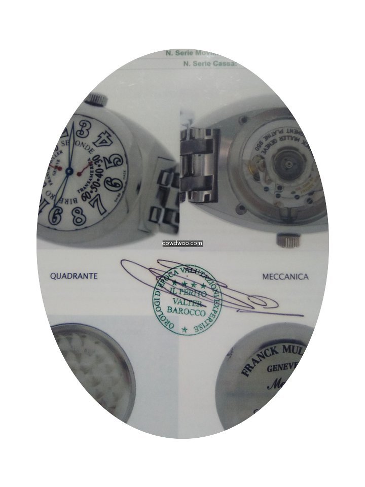 Franck Muller TRANSAMERICA BEE RETRO...