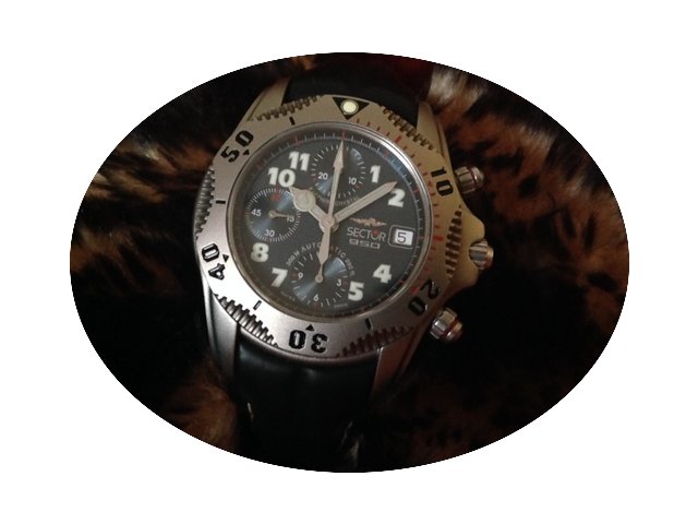Sector 950 TITANIUM CHRONO...