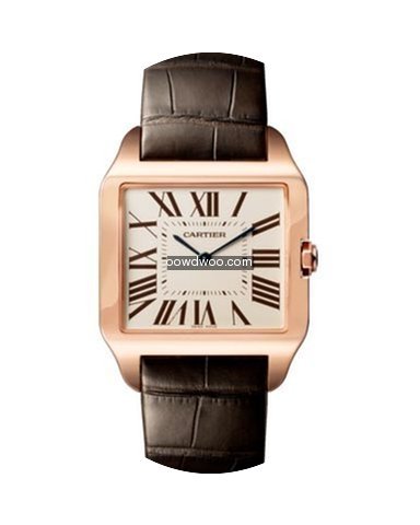 Cartier Santos Dumont...