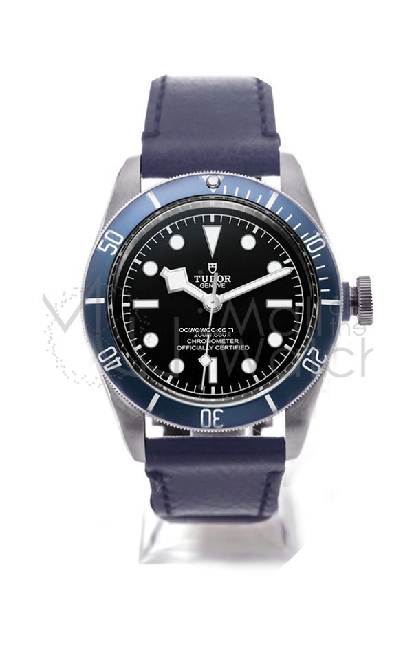 Tudor Heritage Black Bay 79230b...
