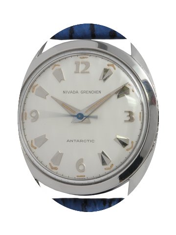 Nivada Gretchen Stainless Steel Antarcti...