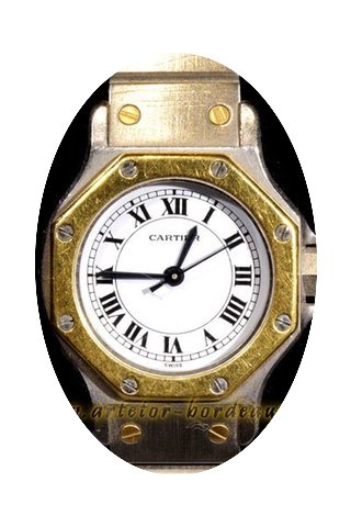Cartier Santos...