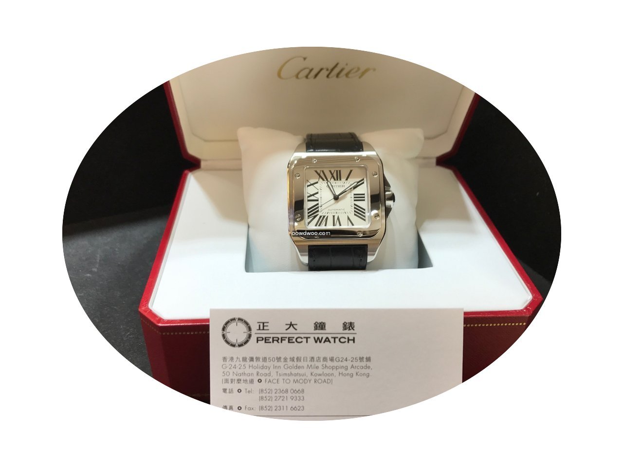 Cartier W20073X8 Santos 100...