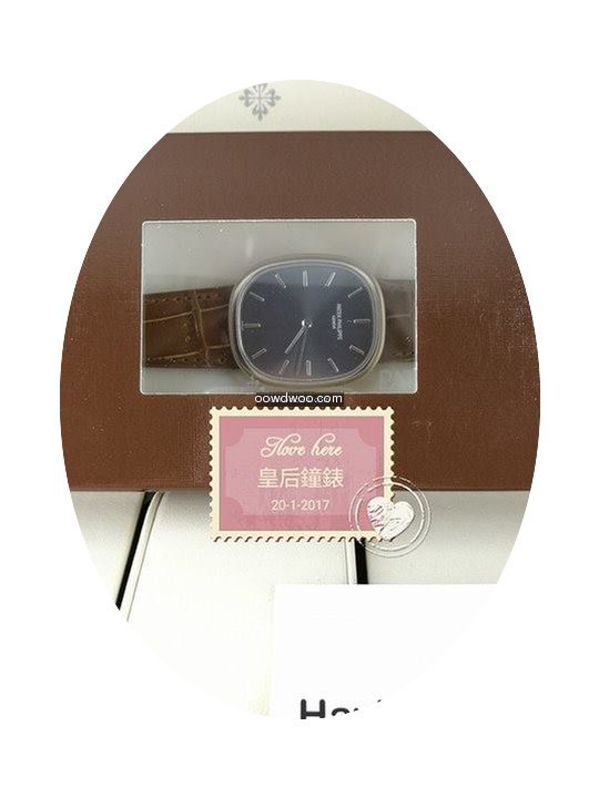 Patek Philippe 3738/100G-012...