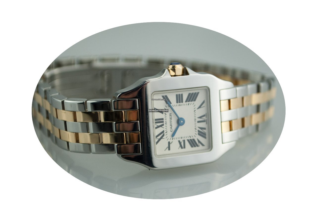 Cartier Panthère...