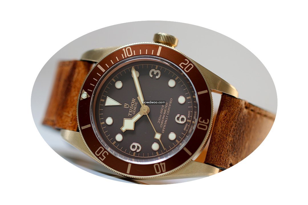 Tudor HERITAGE BLACK BAY BRONZE 79250M...