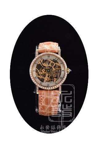 Breguet Older model...