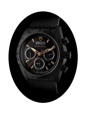 Tudor Fastrider Black Shield...