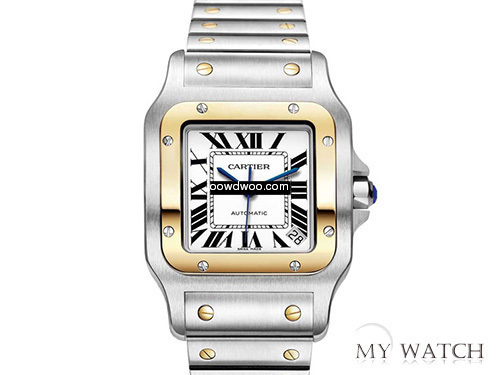 Cartier - W20099C4...