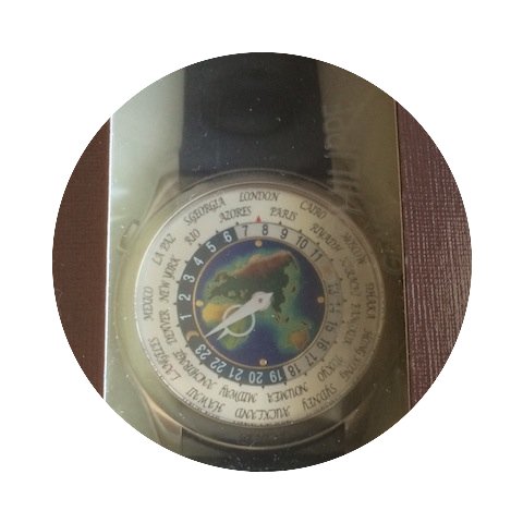 Patek Philippe 5131G WorldTime Enamel...