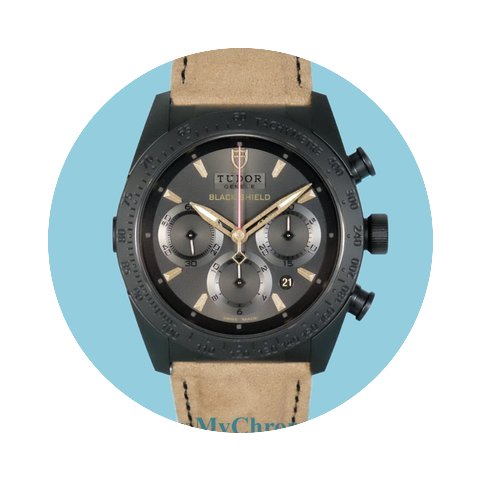Tudor Fastrider Black Shield bronze Lede...