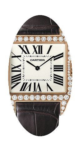 Cartier Santos-Dumont...