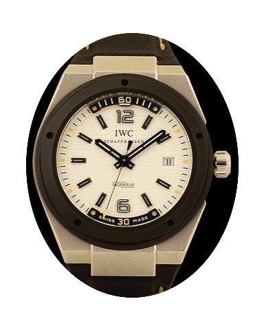 IWC Ingenieur Action on Climate...