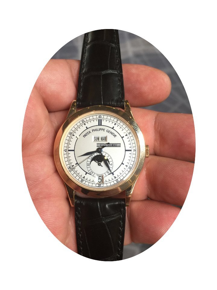 Patek Philippe Annual Calendar Sector Di...