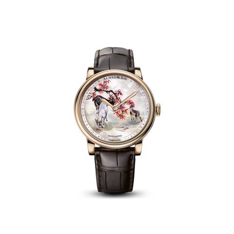 Arnold & Son HM Goats...
