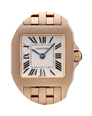 Cartier Santos Demoiselle...