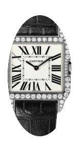 Cartier Santos Dumont...
