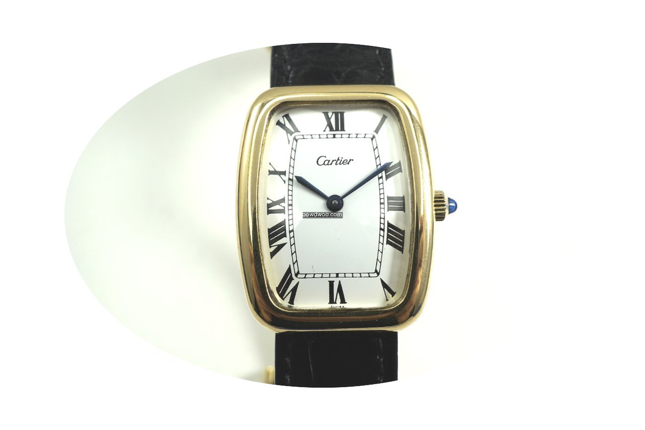 Cartier Square Incurvee 18k rectangle sh...