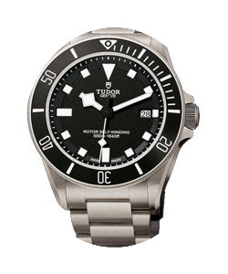 Tudor Pelagos 25500TN Titanio...