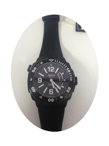 Alpina Extreme Diver...