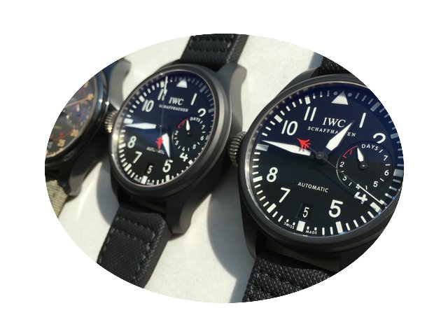 IWC IW501901...