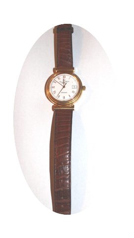 IWC Half Hunter...