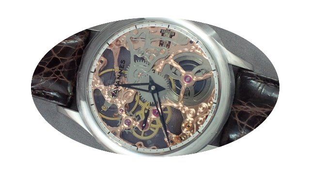 Tavannes TA-VON Skeleton with see-throug...