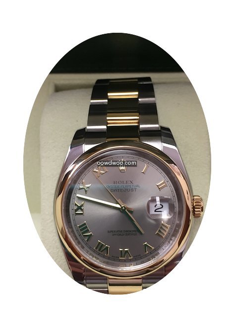 Rolex Datejust 36 mm.Gold-Steel 116203 B...