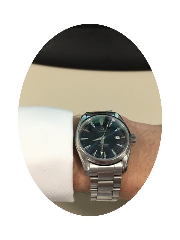 Omega SEAMASTER AQUA TERRA QUARTZ...