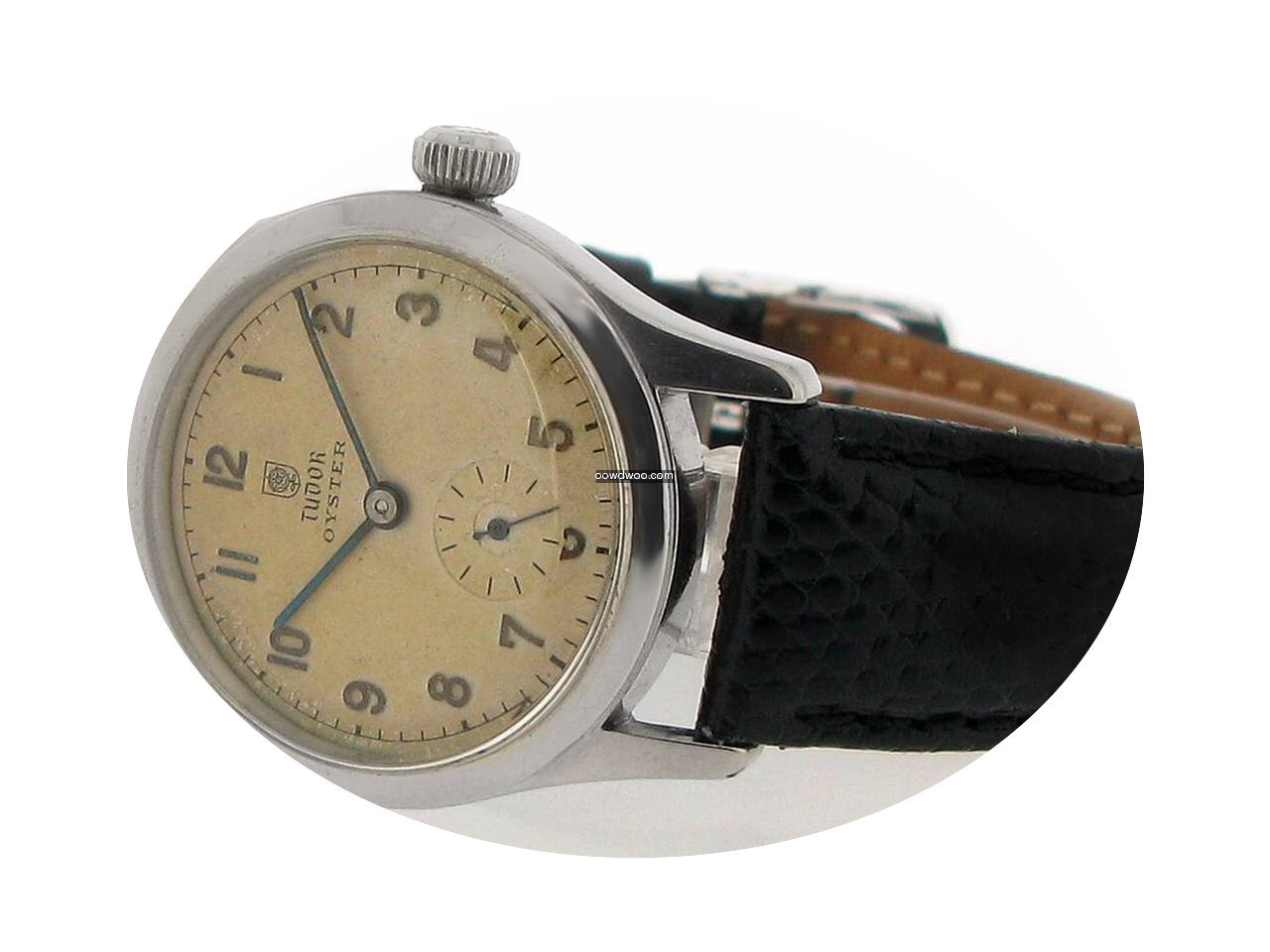 Tudor Oyster...