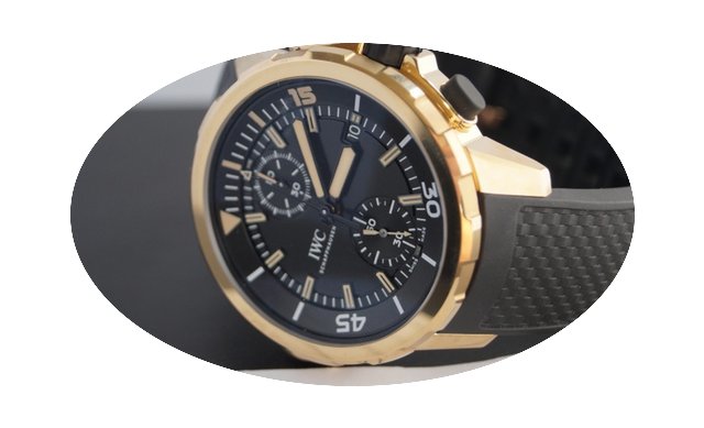 IWC Aquatimer Chronograph Charles Darwin...
