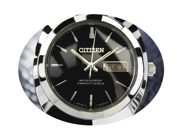 Citizen Diashock Stainless Steel Manual ...