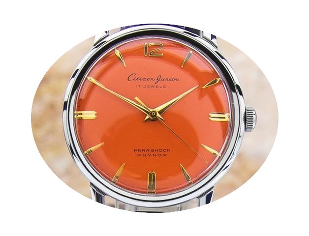 Citizen Junior Phynox Vintage Mens Paras...