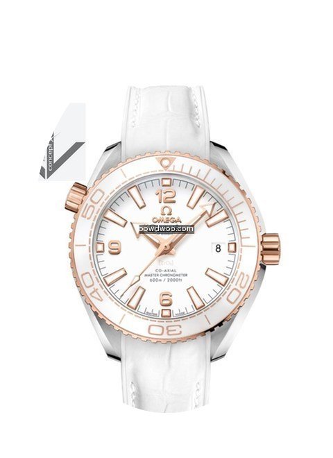 Omega Planet Ocean 600 M Omega Co-axial ...