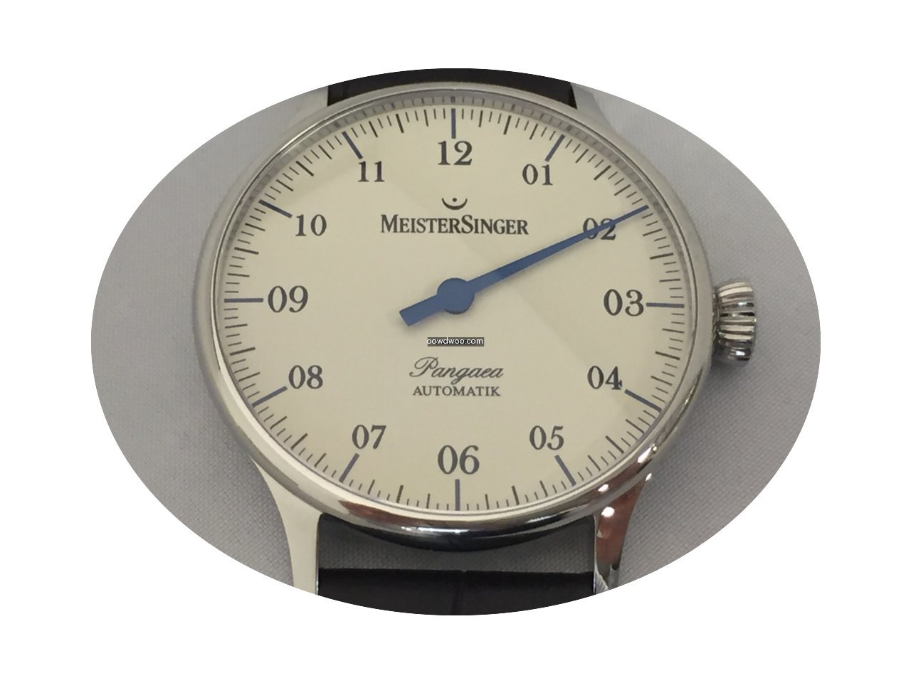 Meistersinger Pangaea...