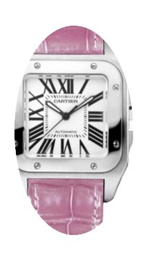 Cartier Santos 100 Midsize Watch...